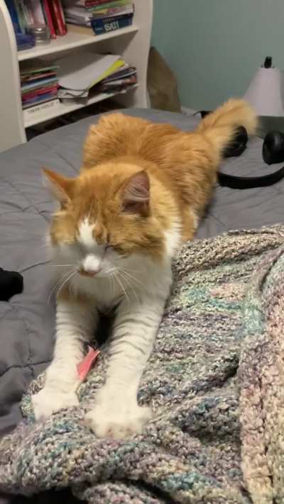 I Lost My Kneady Boy Today