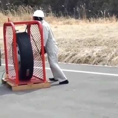 Wheeeeee