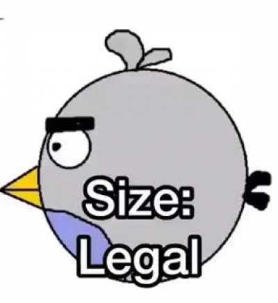 l e g a