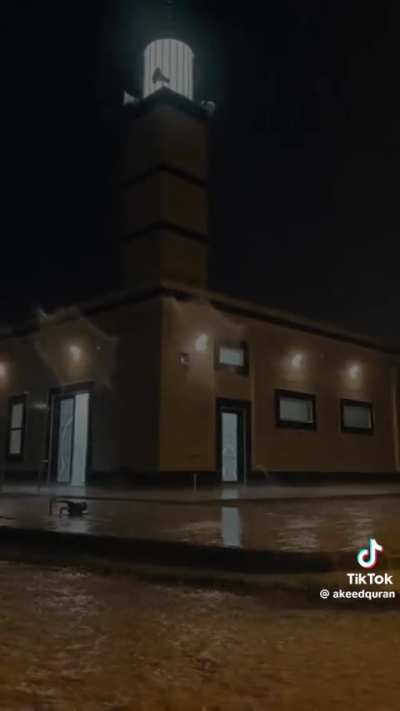 ✨⛈️✨🌙