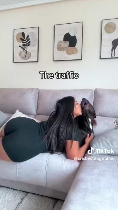 @crisbestdogtrainer