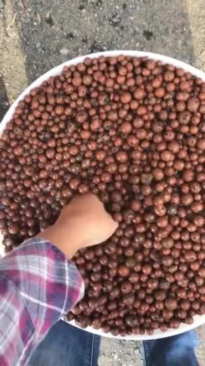 Chocolate cereal balls (Clay pebbles)