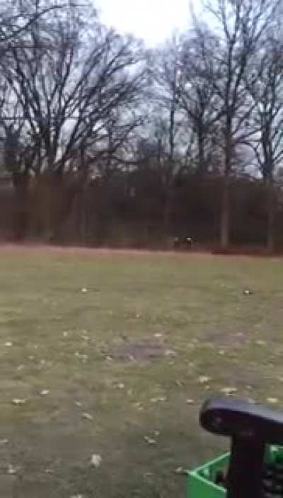 Police chasing guy in Germany for violating corona restrictions