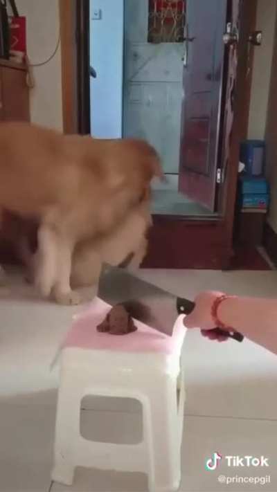 I feel sad for that doggies 🥺