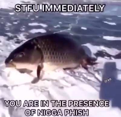 smh