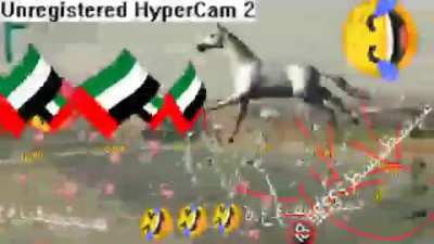أوه نعم سيد كرابس 🦀🤣🤣🤣