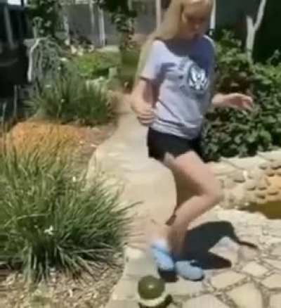 By Bouncing Melons!