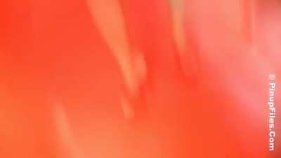 DM Red Slicker