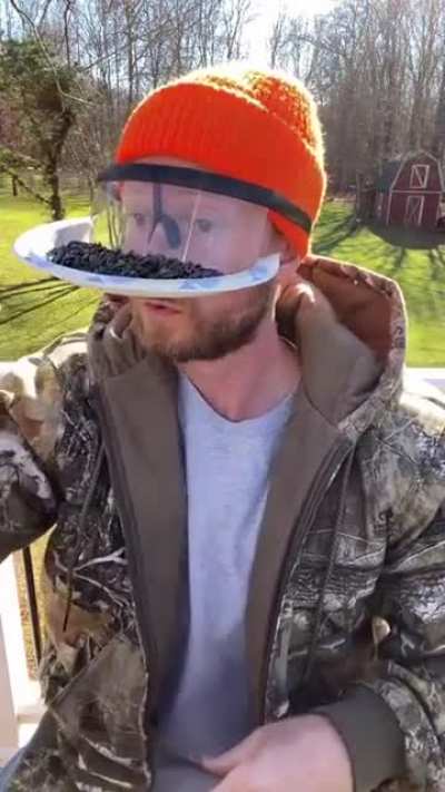 How to meet birds