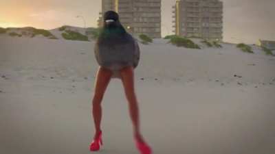 haha funny video, but remember kids, birds aren&rsquo;t real.