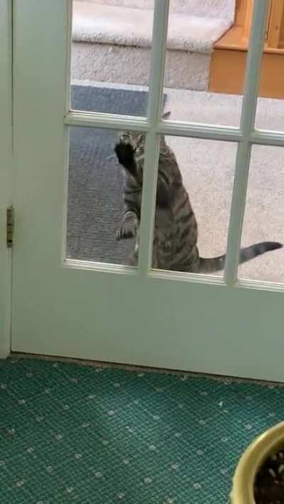 There&rsquo;s one room the cat isn&rsquo;t allowed in&hellip; try telling him that.