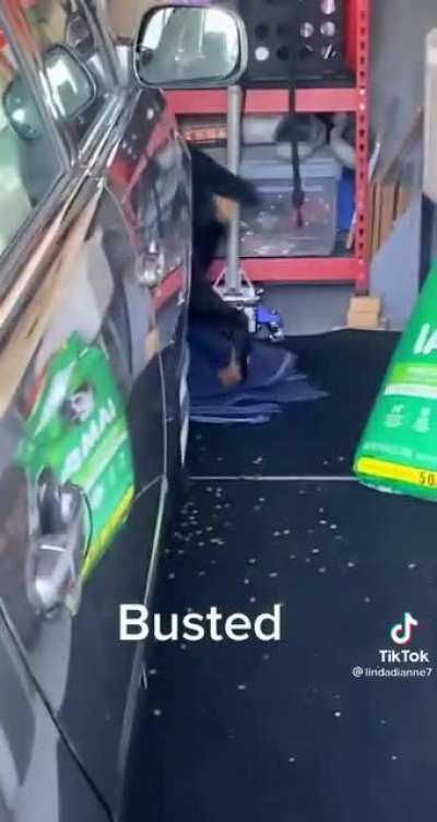 -