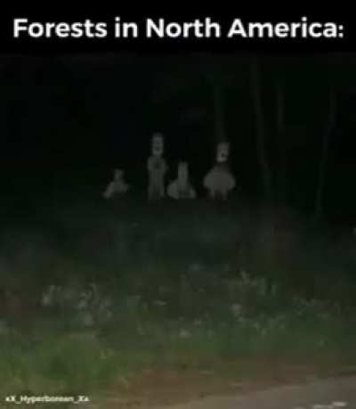 America got the better land lore