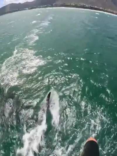 Casual kitesurfing in South Africa when..