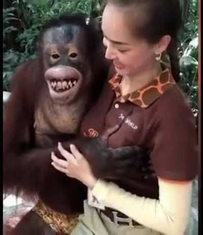 Only tried it on with the zookeepers missus