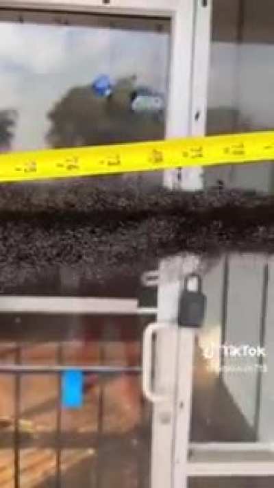 this shit wild