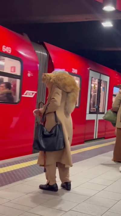 Woman flings a cat onto her shoulder