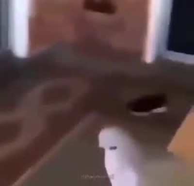 Just a cute dog and bird &amp;lt;3