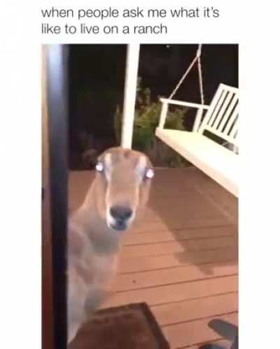 Creepy af