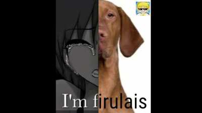 Firulais