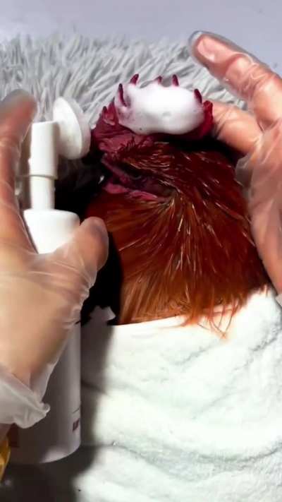Rooster body care