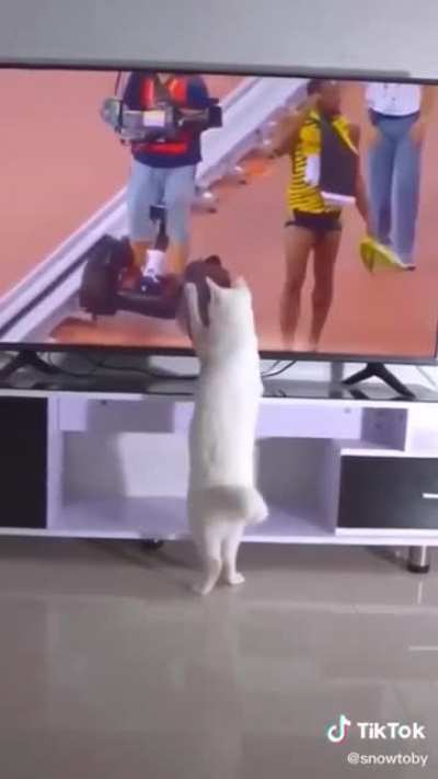 Cat trips people with his powers