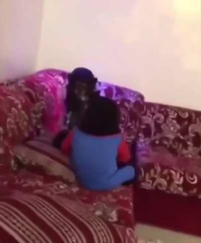 Batmonkey VS Supermonkey