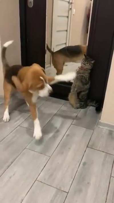 Look at my butt