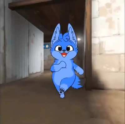 furry_irl