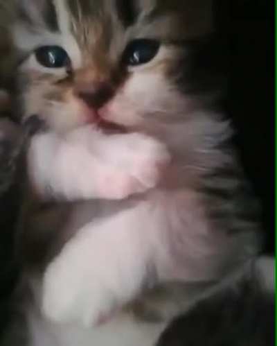 that lick
