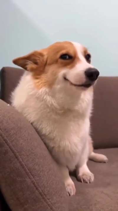 Actually that smile killed me 🤣