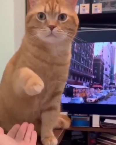 Hmmm