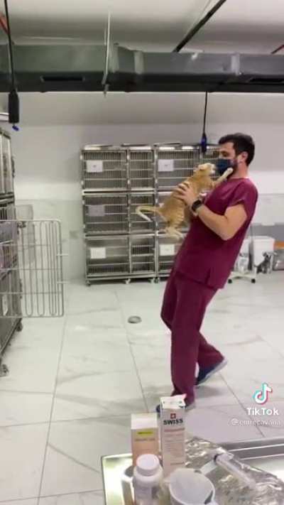 Vet life