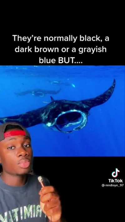 That's fricking lit