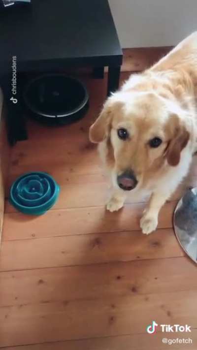 "Please don't let him do it"