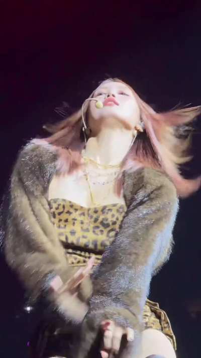 Momo