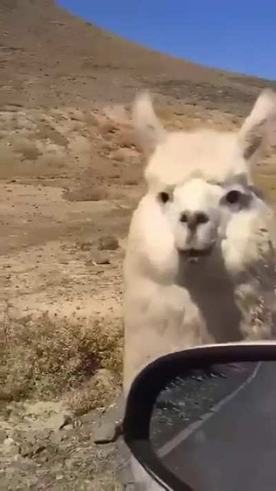 Hello there