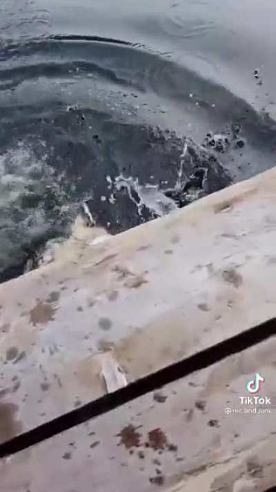Scratching an itch