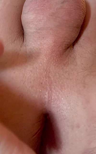 Ass Gay Ass Spread Balls Big Balls Spreading Spread Porn GIF by pinkandstink1