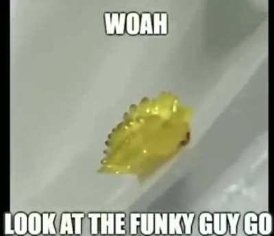 funky rule :)