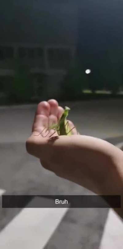 Woo-