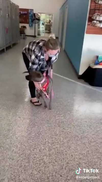 Doggie gets adopted