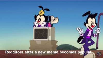 The meme was funny, You don&rsquo;t have to repeat it for the 17,000th time