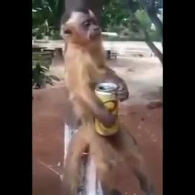 Quando t&aacute; na ro&ccedil;a e n&atilde;o tem como assistir o maravilhoso HUEstation.