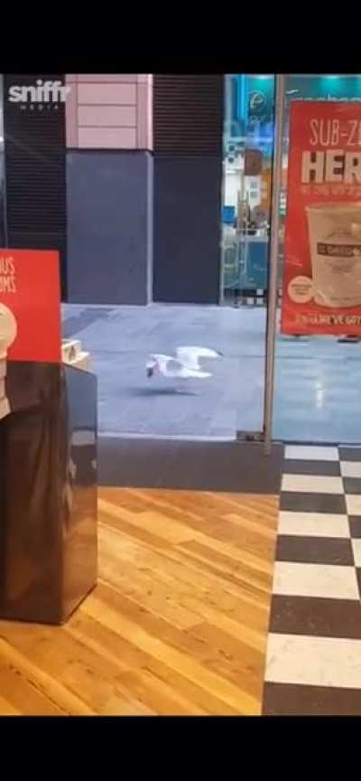 God damn crimes must be stopped