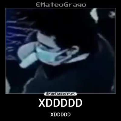 XD