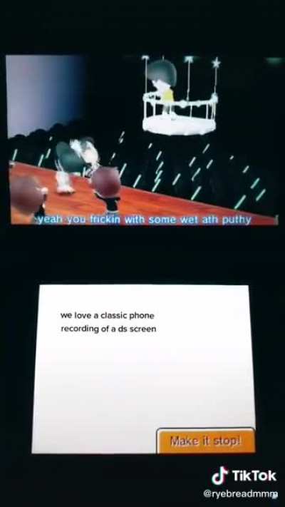 WAP but make it Nintendo DS