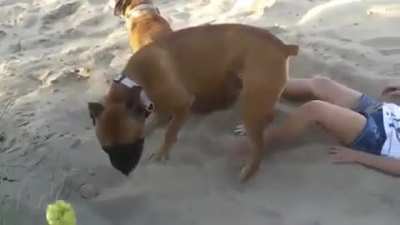 Good boy