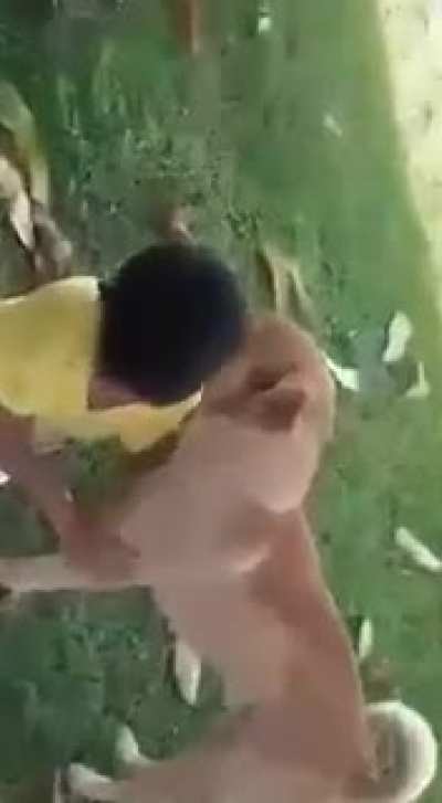 "I love u dog"