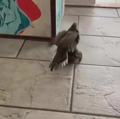 Ну что, чучело, поехали?